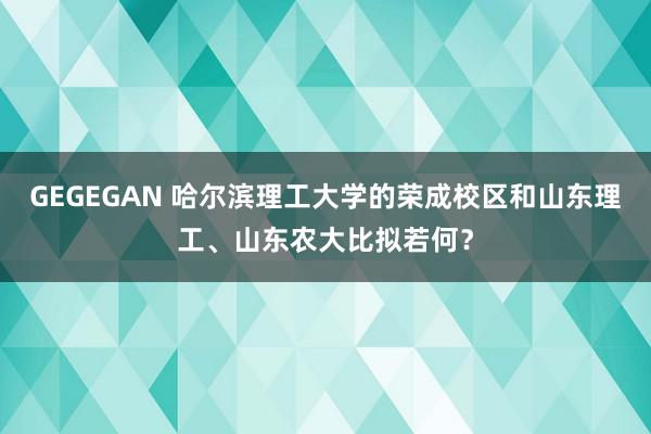 GEGEGAN 哈尔滨理工大学的荣成校区和山东理工、山东农大比拟若何？