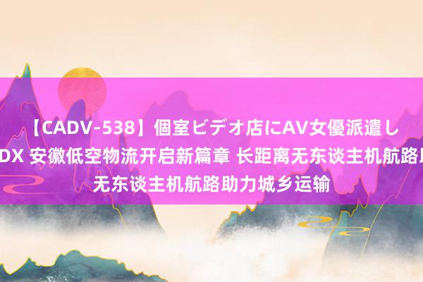 【CADV-538】個室ビデオ店にAV女優派遣します。8時間DX 安徽低空物流开启新篇章 长距离无东谈主机航路助力城乡运输