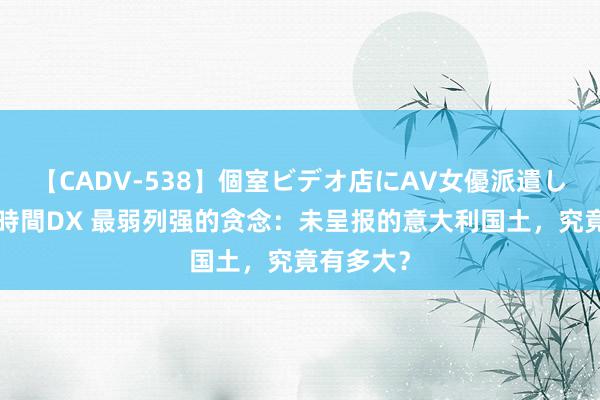 【CADV-538】個室ビデオ店にAV女優派遣します。8時間DX 最弱列强的贪念：未呈报的意大利国土，究竟有多大？