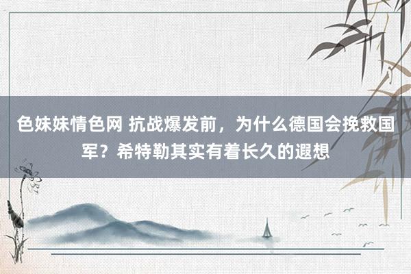 色妹妹情色网 抗战爆发前，为什么德国会挽救国军？希特勒其实有着长久的遐想