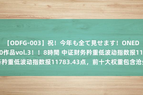 【ODFG-003】祝！今年も全て見せます！ONEDAFULL1年の軌跡全60作品vol.3！！8時間 中证财务矜重低波动指数报11783.43点，前十大权重包含沧州明珠等