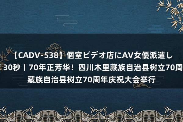 【CADV-538】個室ビデオ店にAV女優派遣します。8時間DX 30秒丨70年正芳华！四川木里藏族自治县树立70周年庆祝大会举行