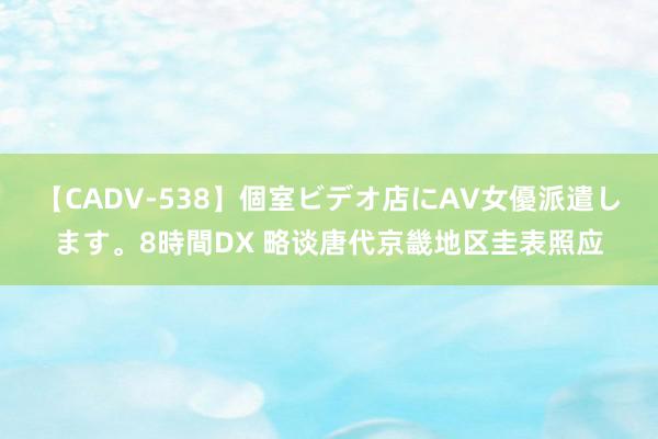 【CADV-538】個室ビデオ店にAV女優派遣します。8時間DX 略谈唐代京畿地区圭表照应