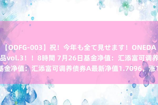 【ODFG-003】祝！今年も全て見せます！ONEDAFULL1年の軌跡全60作品vol.3！！8時間 7月26日基金净值：汇添富可调养债券A最新净值1.7096，涨1.37%