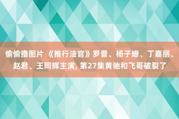 偷偷撸图片 《推行法官》罗晋、杨子姗、丁嘉丽、赵君、王同辉主演, 第27集黄驰和飞哥破裂了