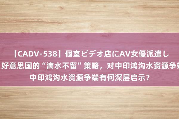 【CADV-538】個室ビデオ店にAV女優派遣します。8時間DX 好意思国的“滴水不留”策略，对中印鸿沟水资源争端有何深层启示？