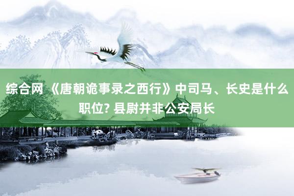 综合网 《唐朝诡事录之西行》中司马、长史是什么职位? 县尉并非公安局长