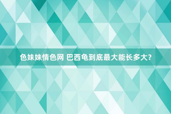 色妹妹情色网 巴西龟到底最大能长多大？