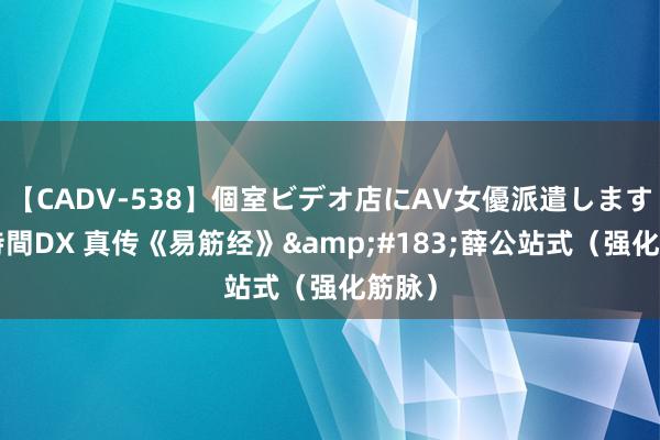 【CADV-538】個室ビデオ店にAV女優派遣します。8時間DX 真传《易筋经》&#183;薛公站式（强化筋脉）