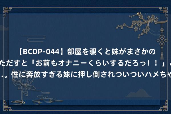 【BCDP-044】部屋を覗くと妹がまさかのアナルオナニー。問いただすと「お前もオナニーくらいするだろっ！！」と逆に襲われたボク…。性に奔放すぎる妹に押し倒されついついハメちゃった近親性交12編 暑运热力透顶，绘就“流动中国”新篇章