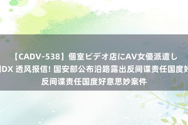 【CADV-538】個室ビデオ店にAV女優派遣します。8時間DX 透风报信! 国安部公布沿路露出反间谍责任国度好意思妙案件