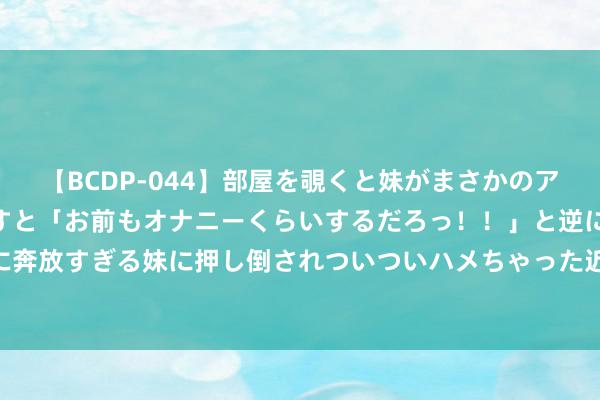 【BCDP-044】部屋を覗くと妹がまさかのアナルオナニー。問いただすと「お前もオナニーくらいするだろっ！！」と逆に襲われたボク…。性に奔放すぎる妹に押し倒されついついハメちゃった近親性交12編 存量改进期间 “以旧换新”精确赋能旅店行业