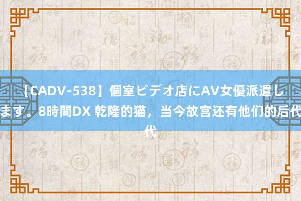 【CADV-538】個室ビデオ店にAV女優派遣します。8時間DX 乾隆的猫，当今故宫还有他们的后代