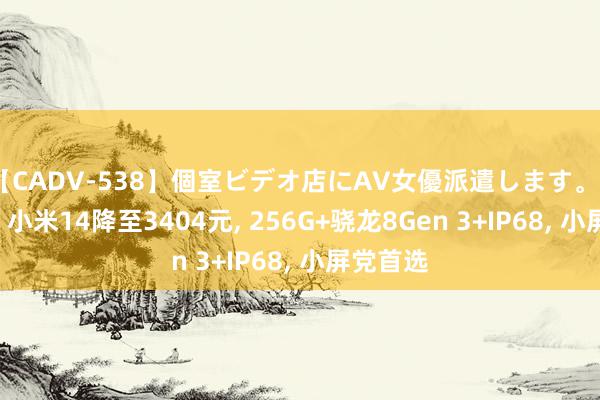 【CADV-538】個室ビデオ店にAV女優派遣します。8時間DX 小米14降至3404元, 256G+骁龙8Gen 3+IP68, 小屏党首选