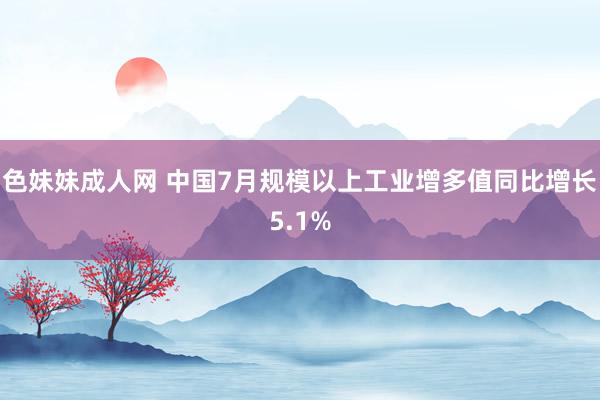 色妹妹成人网 中国7月规模以上工业增多值同比增长5.1%