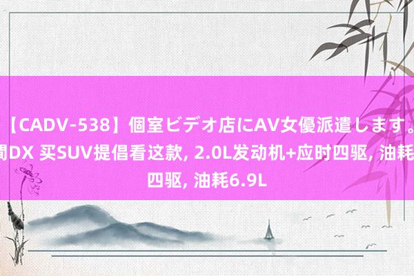 【CADV-538】個室ビデオ店にAV女優派遣します。8時間DX 买SUV提倡看这款, 2.0L发动机+应时四驱, 油耗6.9L