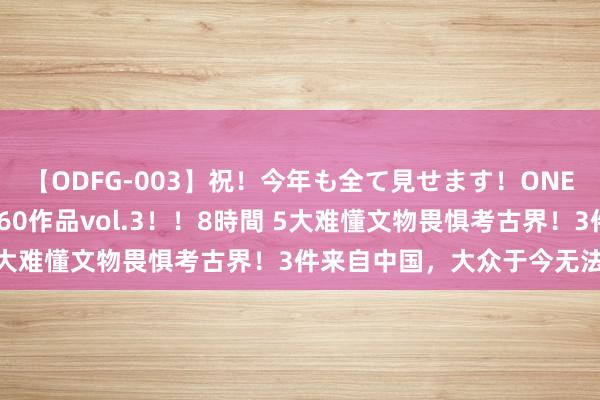 【ODFG-003】祝！今年も全て見せます！ONEDAFULL1年の軌跡全60作品vol.3！！8時間 5大难懂文物畏惧考古界！3件来自中国，大众于今无法解答