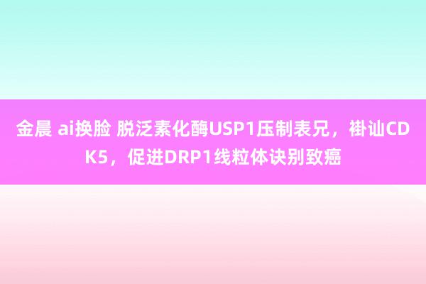 金晨 ai换脸 脱泛素化酶USP1压制表兄，褂讪CDK5，促进DRP1线粒体诀别致癌