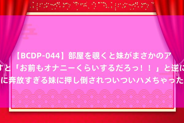 【BCDP-044】部屋を覗くと妹がまさかのアナルオナニー。問いただすと「お前もオナニーくらいするだろっ！！」と逆に襲われたボク…。性に奔放すぎる妹に押し倒されついついハメちゃった近親性交12編 吵架没赢过销量没输过, 理念念L7凭什么?