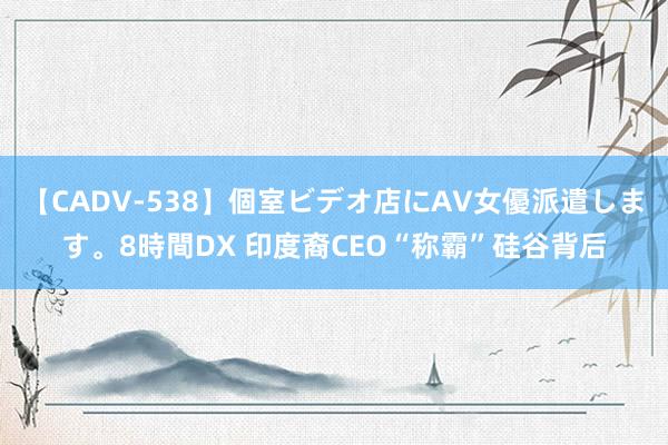 【CADV-538】個室ビデオ店にAV女優派遣します。8時間DX 印度裔CEO“称霸”硅谷背后