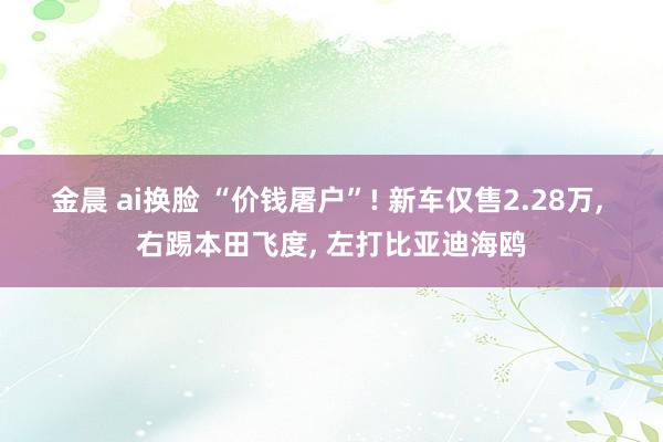 金晨 ai换脸 “价钱屠户”! 新车仅售2.28万, 右踢本田飞度, 左打比亚迪海鸥